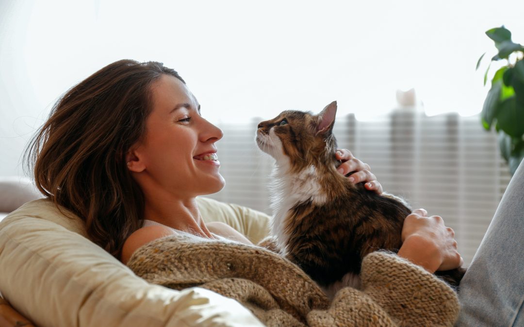 7 Signs Your Cat Loves You