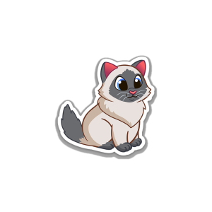 Blue Point Ragdoll Chonker Cat Vinyl Sticker